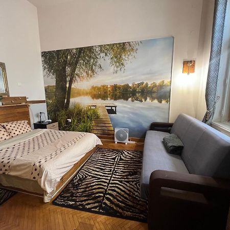 Apartament Ultracentral 2 Piata Muzeului Cluj-Napoca Ngoại thất bức ảnh