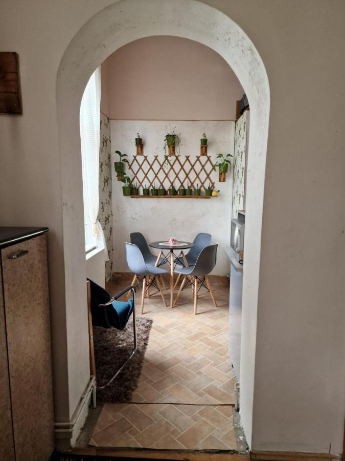 Apartament Ultracentral 2 Piata Muzeului Cluj-Napoca Ngoại thất bức ảnh