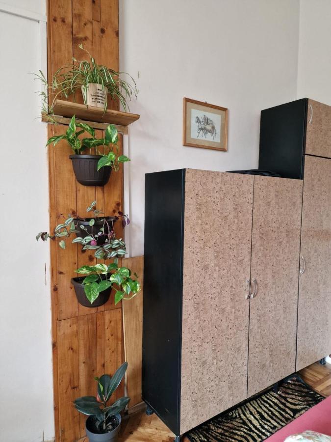 Apartament Ultracentral 2 Piata Muzeului Cluj-Napoca Ngoại thất bức ảnh